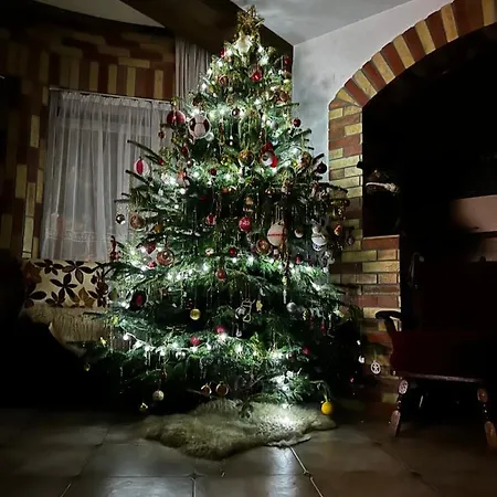 Pensiunea Trasura - Hinto Panzio Hotel 3*