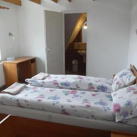Pensiunea Trasura - Hinto Panzio Odorheiu Secuiesc