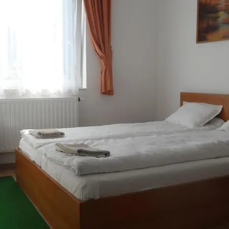 Pensiunea Trasura - Hinto Panzio Hotel