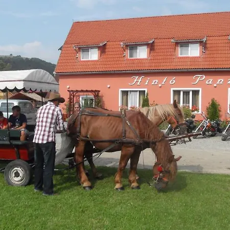 Pensiunea Trasura - Hinto Panzio 3* Odorheiu Secuiesc
