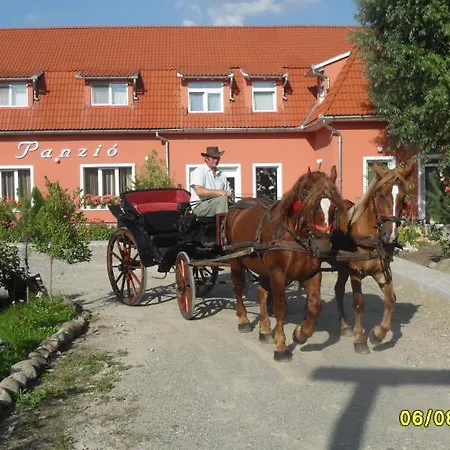 Pensiunea Trasura - Hinto Panzio Odorheiu Secuiesc