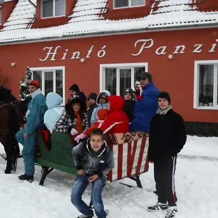 Hotel Pensiunea Trasura - Hinto Panzio 3*
