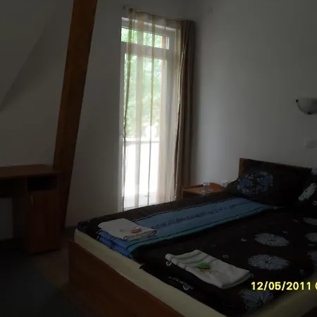 Hotel Pensiunea Trasura - Hinto Panzio 3*