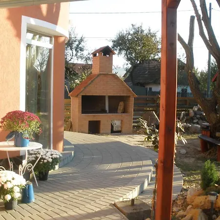 Pensiunea Trasura - Hinto Panzio Hotel 3*
