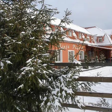 Hotel Pensiunea Trasura - Hinto Panzio