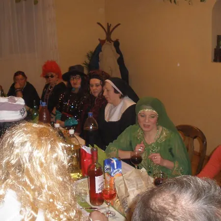 Pensiunea Trasura - Hinto Panzio