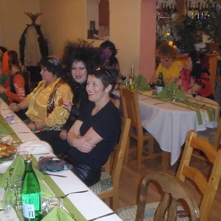 Pensiunea Trasura - Hinto Panzio 3* Odorheiu Secuiesc