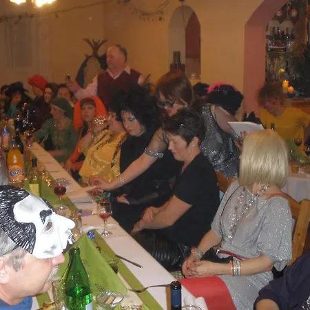 Hotel Pensiunea Trasura - Hinto Panzio