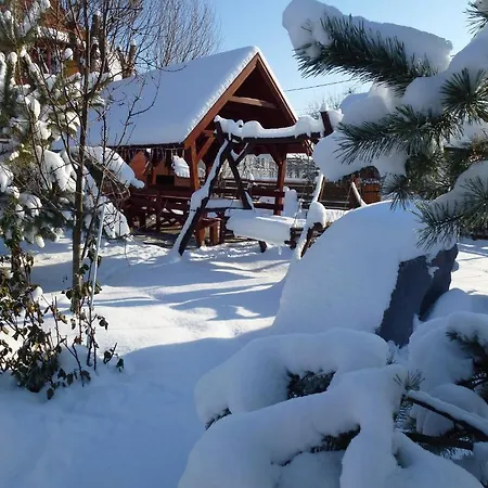 Pensiunea Trasura - Hinto Panzio 3* Odorheiu Secuiesc