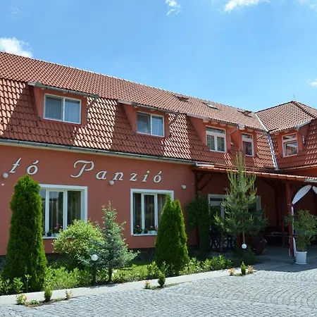 Pensiunea Trasura - Hinto Panzio Hotel Odorheiu Secuiesc