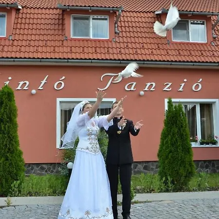 Pensiunea Trasura - Hinto Panzio Hotel Odorheiu Secuiesc