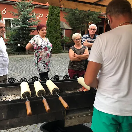 Hotel Pensiunea Trasura - Hinto Panzio 3*