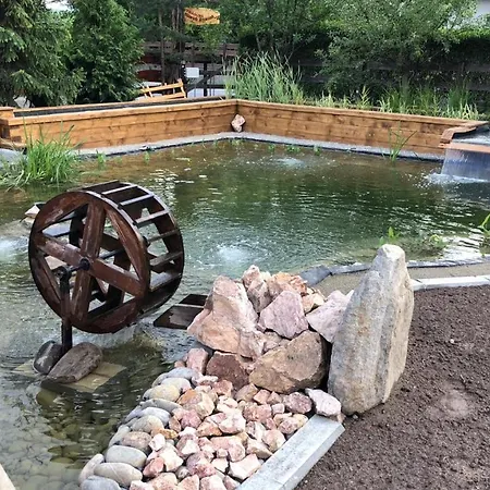 Pensiunea Trasura - Hinto Panzio Hotel