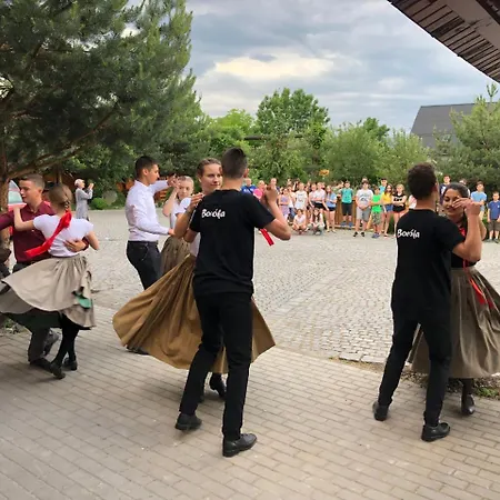 Hotel Pensiunea Trasura - Hinto Panzio