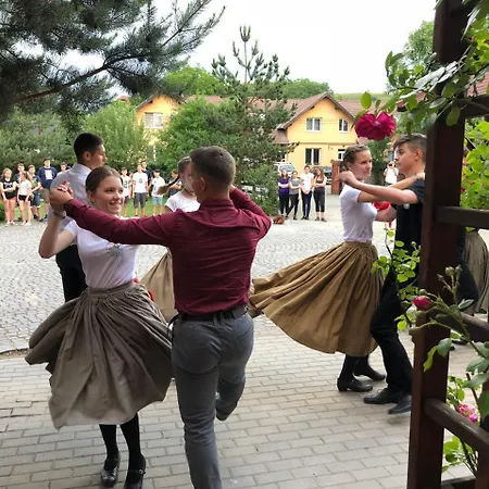 Pensiunea Trasura - Hinto Panzio Hotel Odorheiu Secuiesc