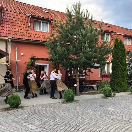 Pensiunea Trasura - Hinto Panzio 3* Odorheiu Secuiesc