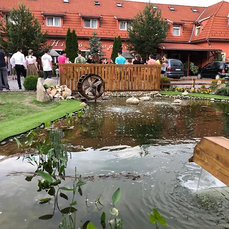 Pensiunea Trasura - Hinto Panzio Hotel 3*